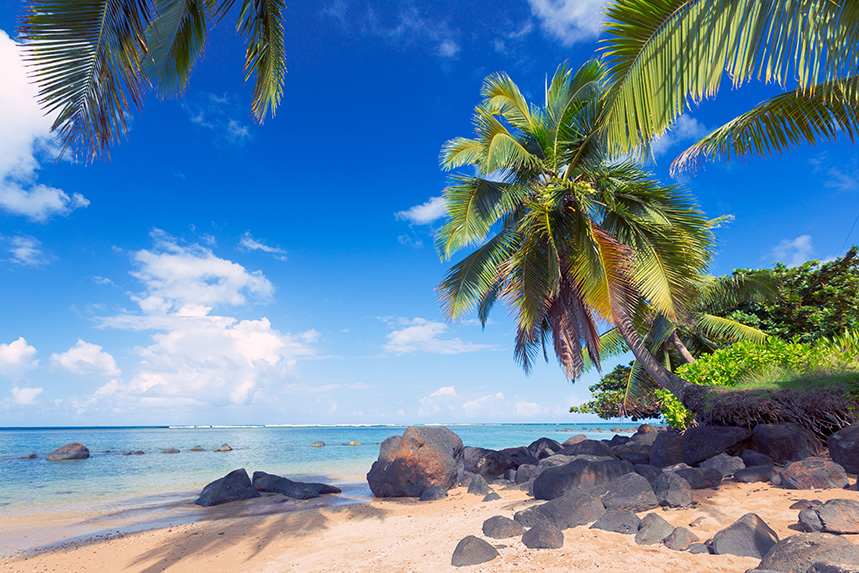 View Packages