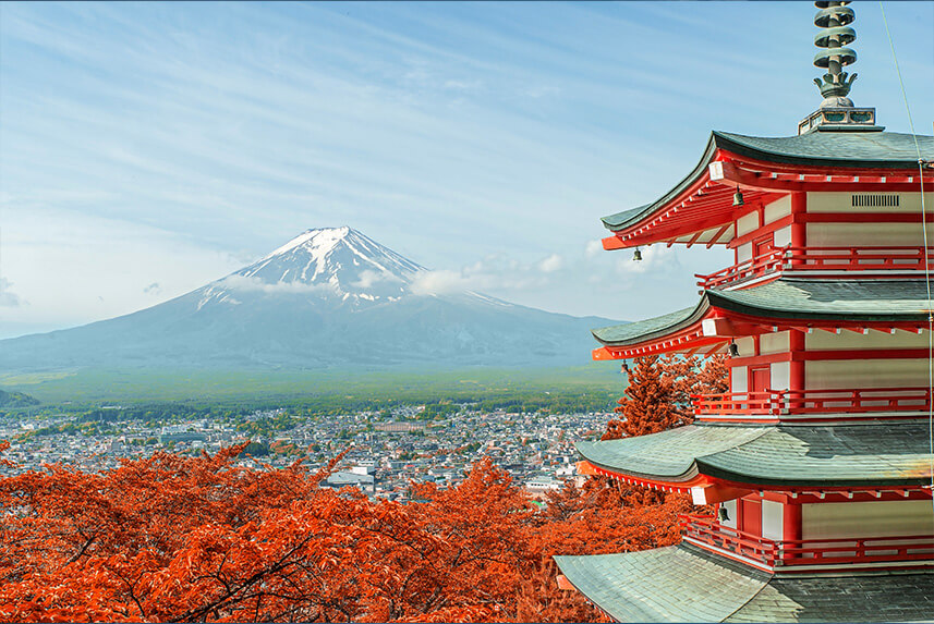 View Luxury Sailings