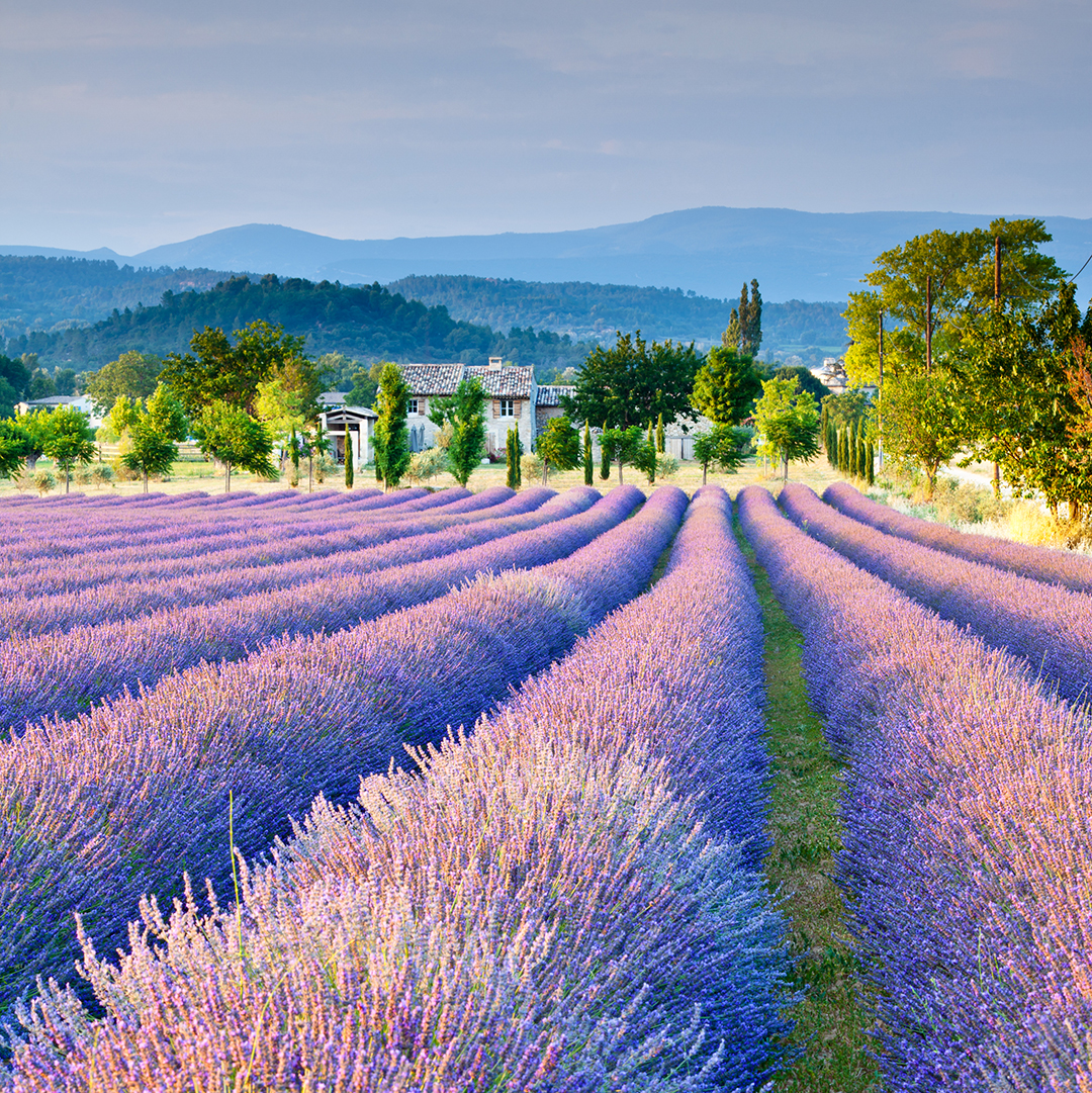 Lyon & Provence