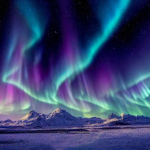 &nbsp;NEW! In Search of the Northern Lights