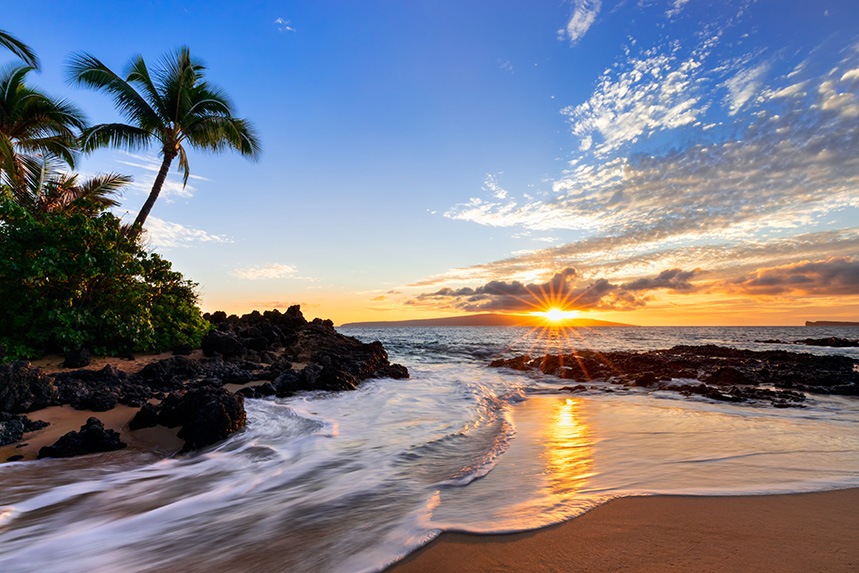 View Packages