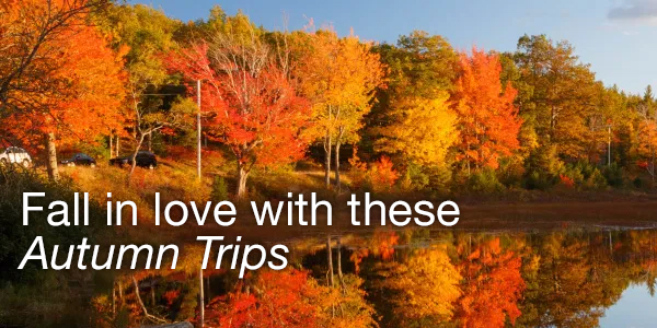 Autumn Trips 